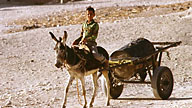 Egypt 1999